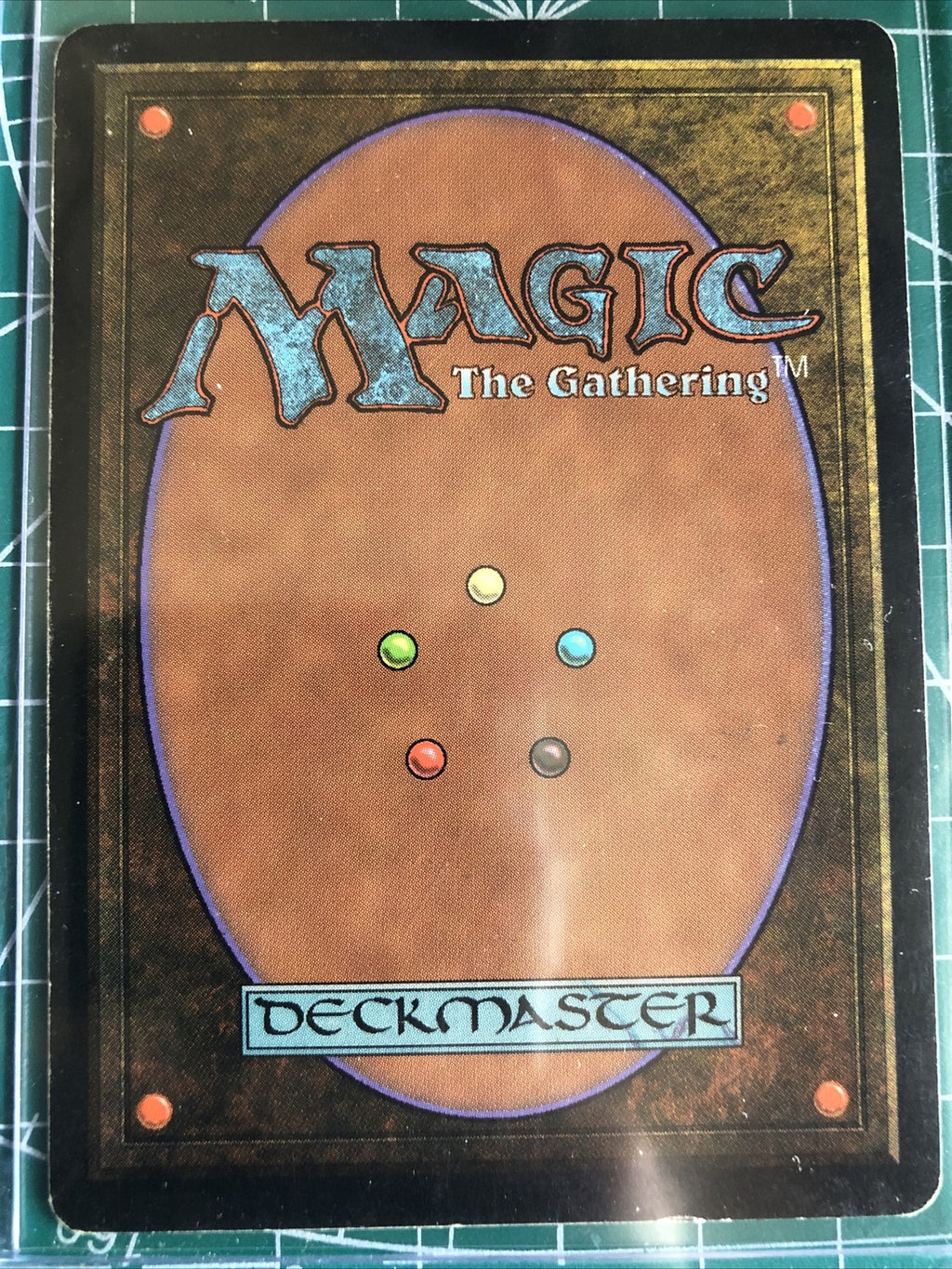 Eladamri's Vineyard Tempest Regular